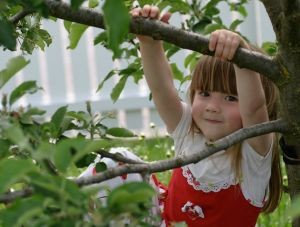girl hanging on tree