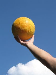 vollleyball palm